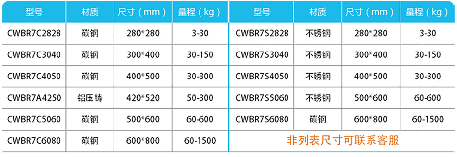簡易計數高精度台秤-CWBR7產品參數